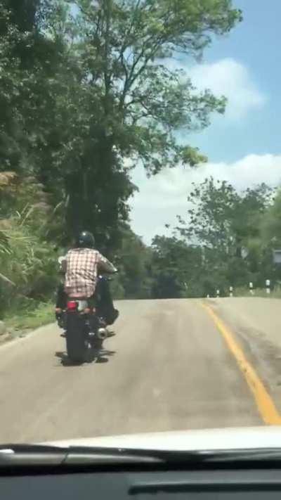 Have you ever seen a snake attack a guy riding a motorcycle?