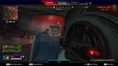 What a sneaky bloodhound