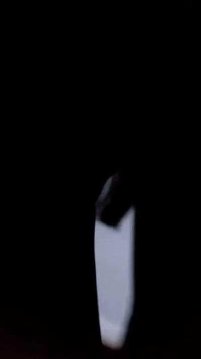 Daily Creamjoa post #7