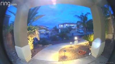 We were worried after we hadn’t seen our visiting Bobcat Hank the Tank for a few weeks, but turns out we had been watching Marge the Barge +Tug