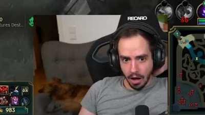 ADC in Preseason in a nutshell