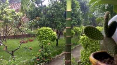 Rain after the heatwave.