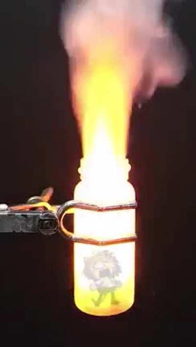 🦀The Stupid Cat is gone 🦀