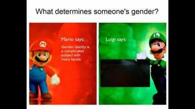 Mario bros' views on gender