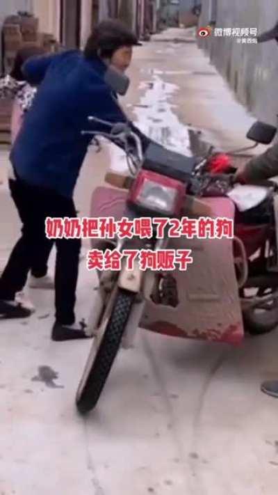 Eating dog meat to own the westards 💪💪💪