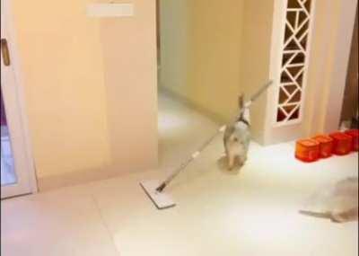 Sad Face Intensifies