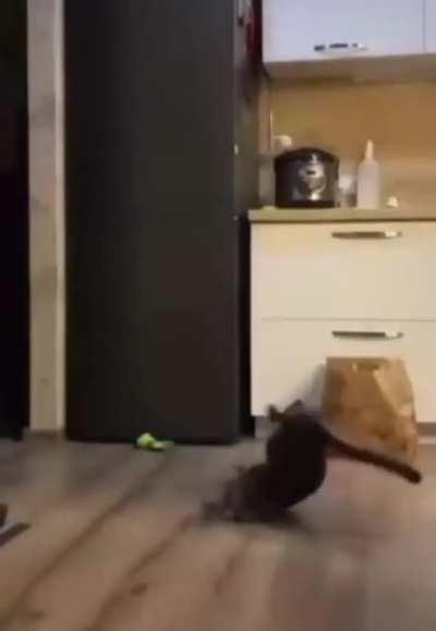 Straight from the top of my dome