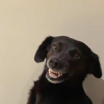 Just smile, please...