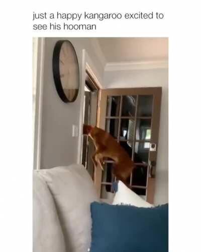 Does this count? I vote yes!