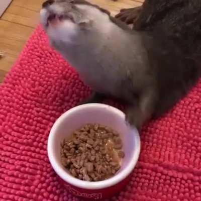 Here's a River Pupper to wash away your burdens.