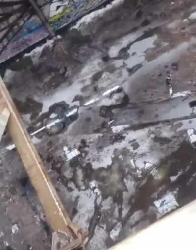 В Питере какой-то отбитыш прыгнул с высоты 27 метров, зацепившись крюками за свою жопу А теперь посмотри на свою скучную жизнь и заплачь