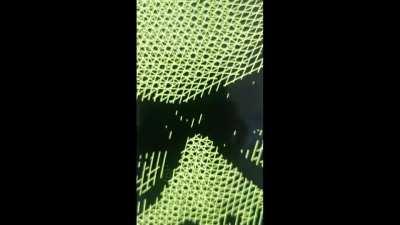 Sound on and watch until the end! I made this yesterday, spread the love <3 !