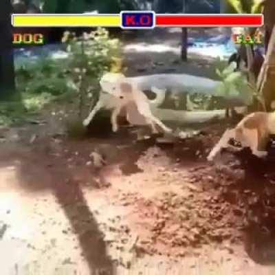 Footies at its finest.