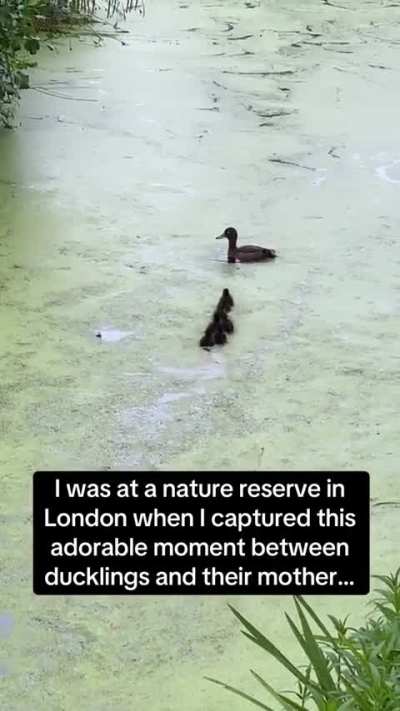 Can I have some me time please? 