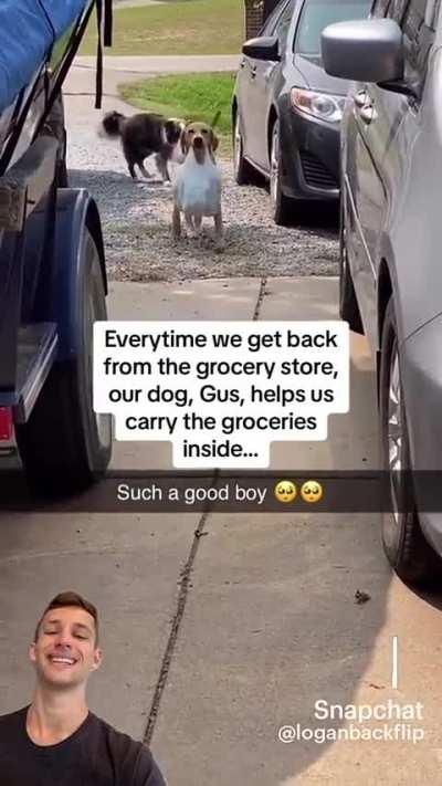 Mark was right saying dogs are more valuable than babies