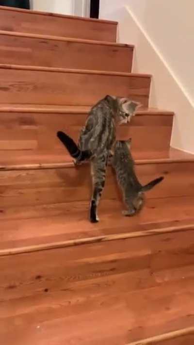 Being a mom is hard but rewarding work