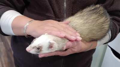 Ralph loves his cuddles