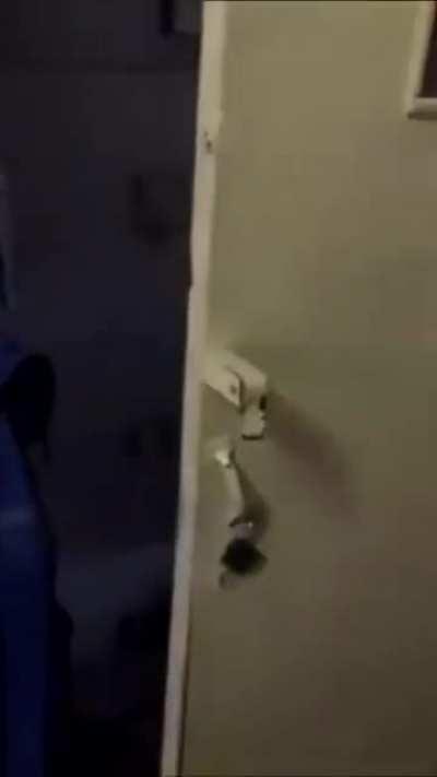 cursed_door