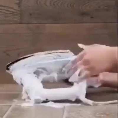 SLPT : How to clean any electrical appliances