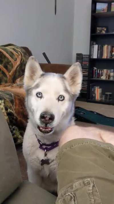 15 years old and still a brat