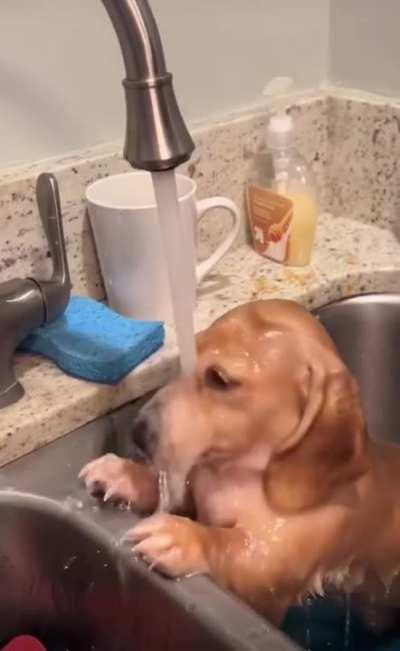He likes to take a shower in this particular tub