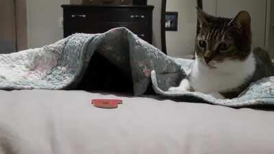 Very mysterious murder mittens...