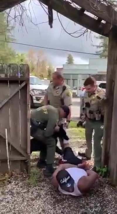 That has to be the worst dog handler I've ever seen.