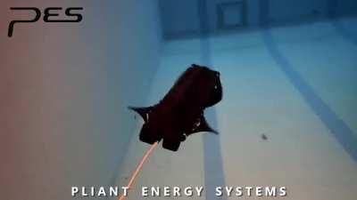 Sentinel, the beginning.