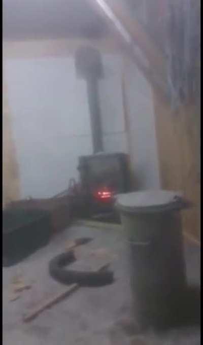 What did they think was gonna happen?