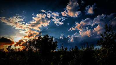 Sunrise in the Jungle | Relaxing Bird Sounds & Calm Music for Focus