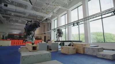 These Robots Got the Segura Update