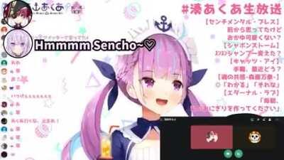 Hololive Recap: If you can recognize all the memes and clips, there's no saving you, if you are new, come join us in this Pekorahole