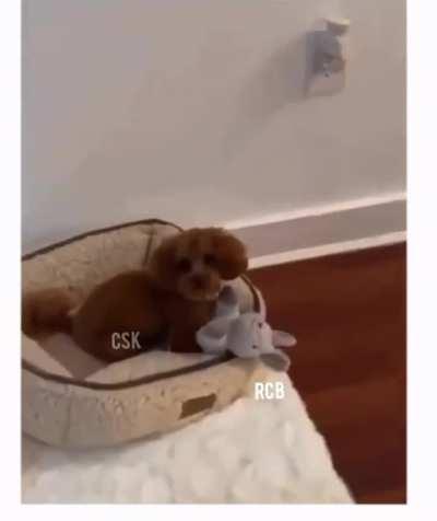 Leaked Highlights of CSK VS RCB