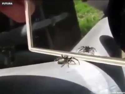 When you see another player scav after new wipe