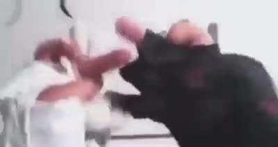 Martial artist gets obliterated by his master