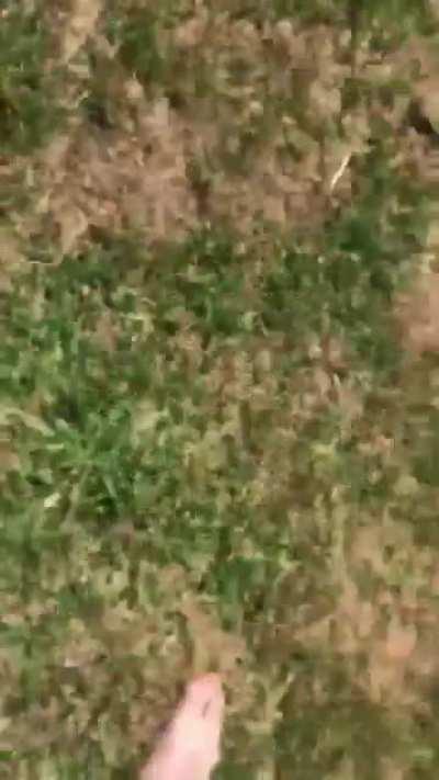 I can’t come back inside, I’m dead.