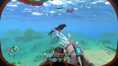 Hey everyone, I threw my cuddlefish somewhere and I can't find it anymore