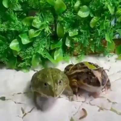 an interesting title