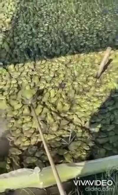 Ein normaler Mittwoch