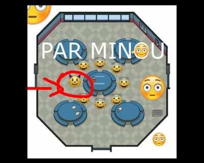 quand le le chats est peu sus je trouve