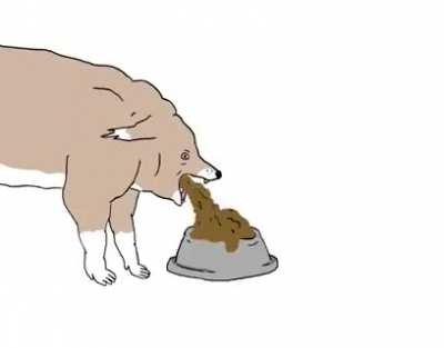 Что делать, если ты пёс