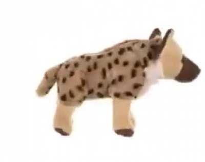 Important yeen video