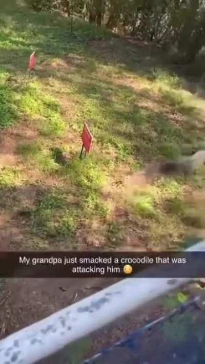 Looney Tunes Style Florida