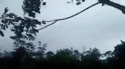 Cutting a tree with 3 other stupid kids on it