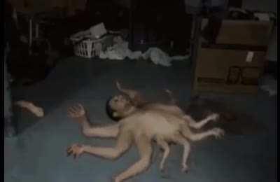 cursed_dream