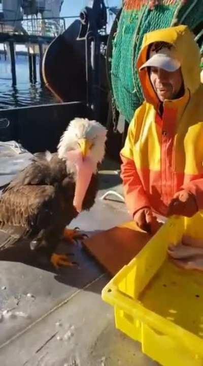 Thanks, I'll just ...