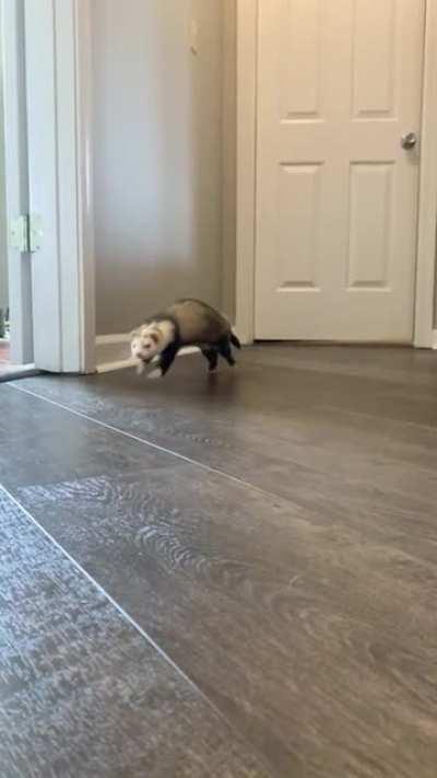 The slo mo escape to freedom run