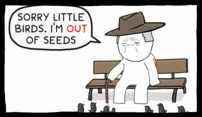 Don't forget to feed the birds