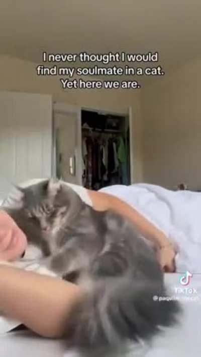 How do I text this to my cat?