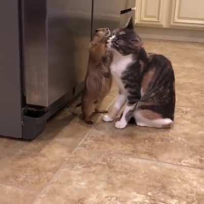 please ... do not stop ...